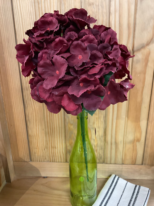 Hydrangea Ruby Red