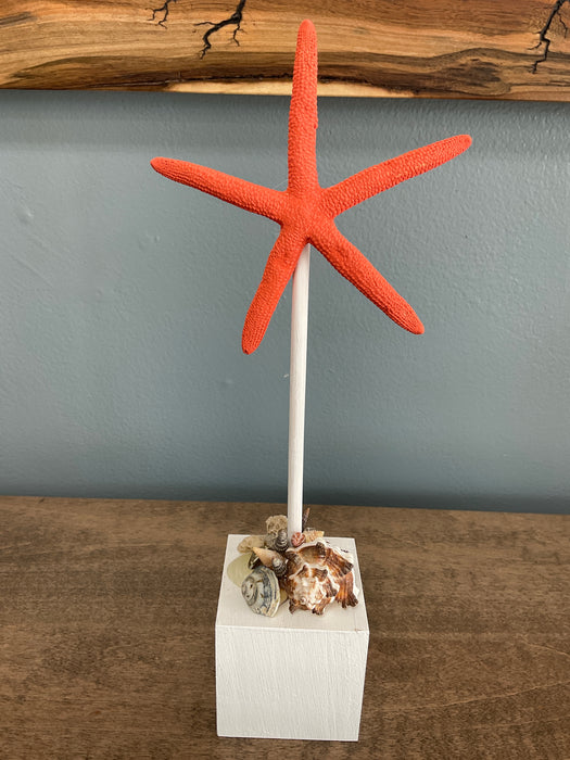 Skinny Starfish on Block