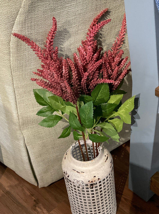 Amaranthus