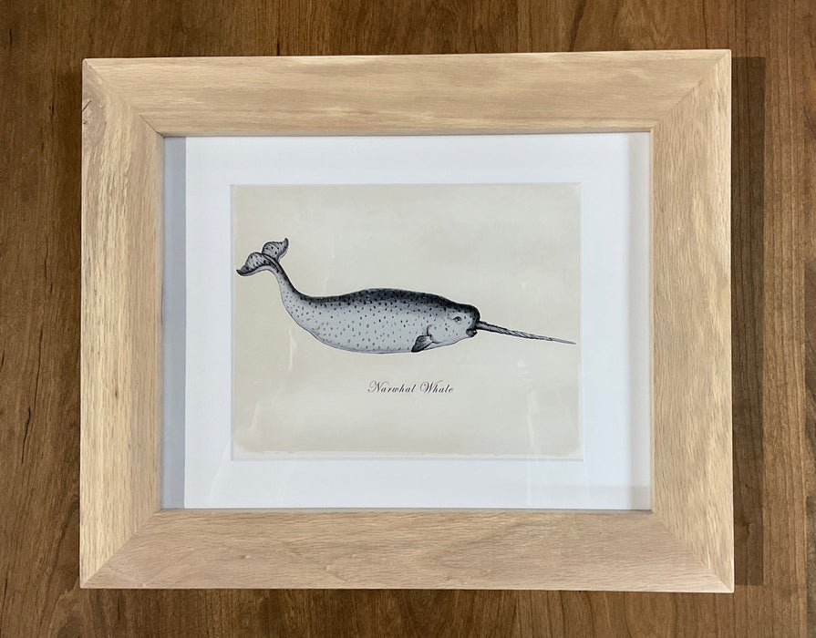 Framed Whale Prints - Red Oak