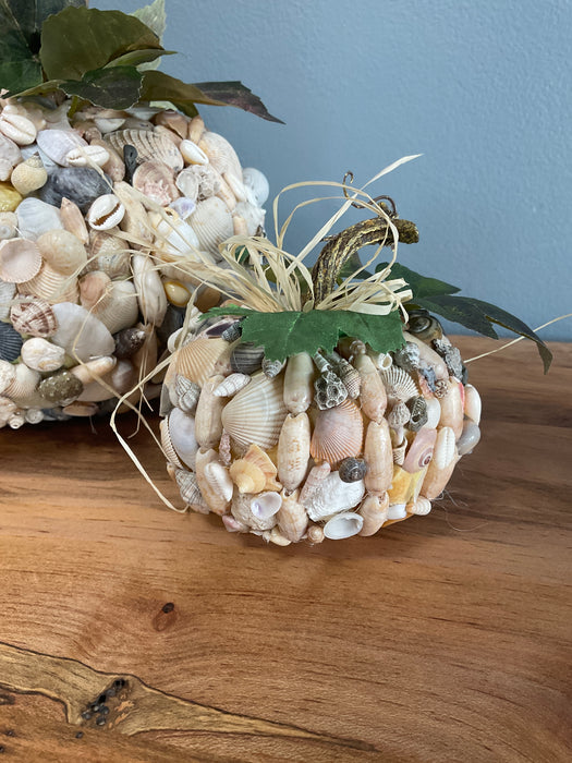Pumpkin - shells