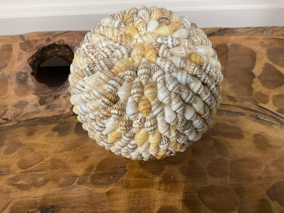 Sea Shell orbs