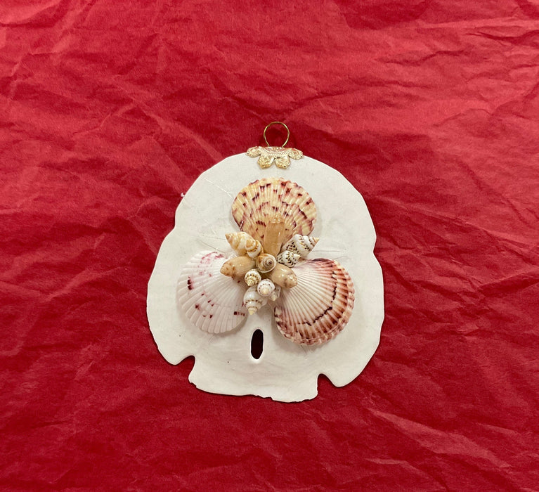 Sand Dollar Ornaments with Shells