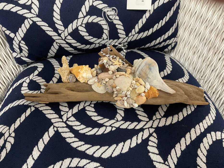 Driftwood with shells picture holder