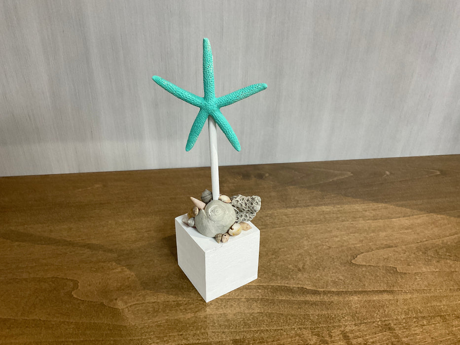 Skinny Starfish on Block
