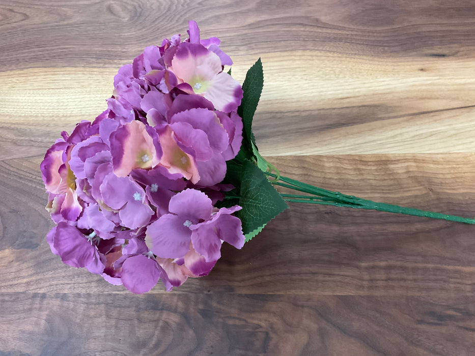 Hydrangea flower - lavender