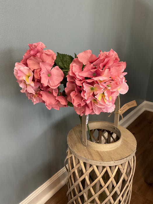 Hydrangea Stem - Blush