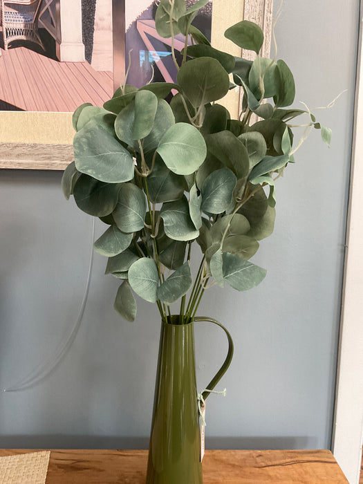 Silver dollar eucalyptus bush