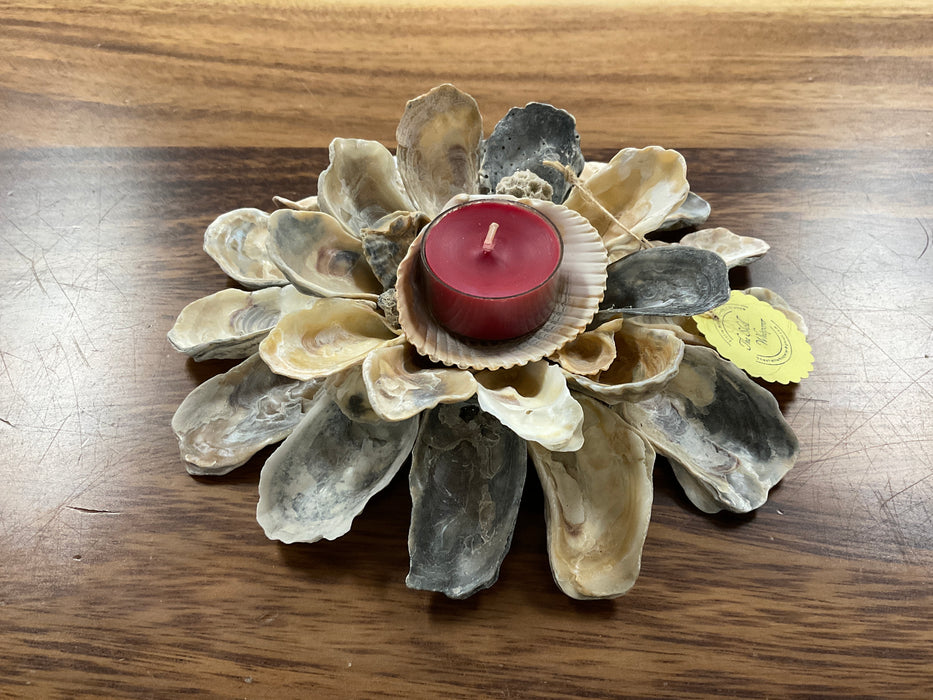 Oyster Shell Candle Holder