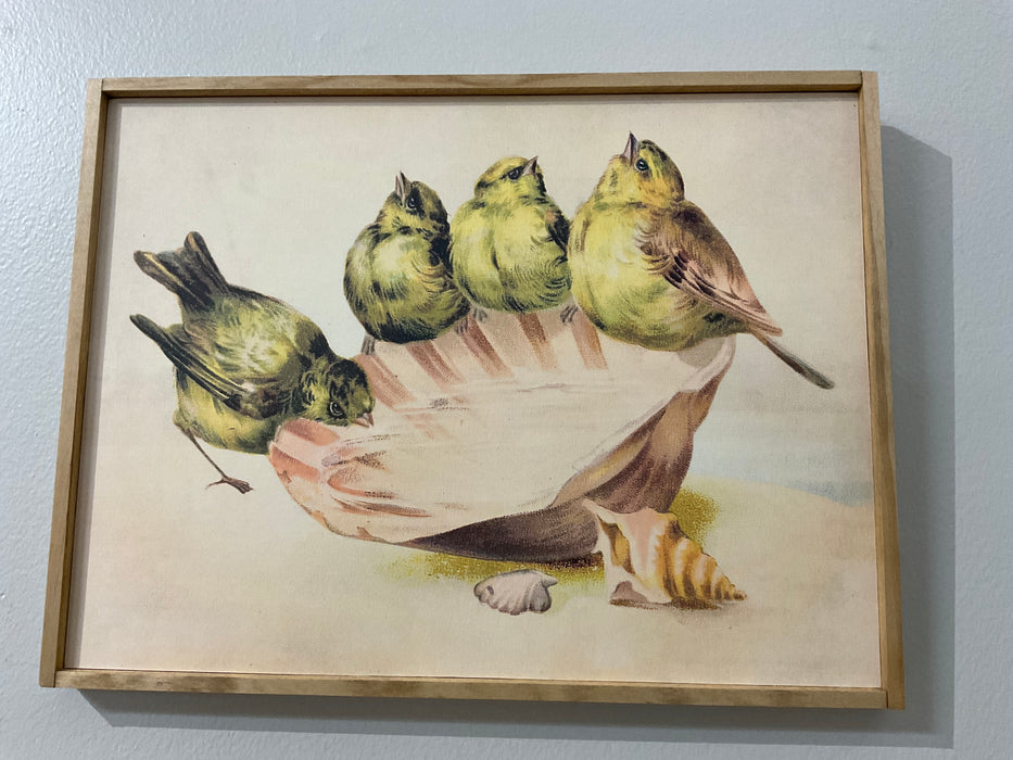 Birds in Seashell Print