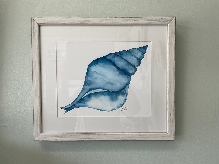 White washed framed print - blue tulip shell