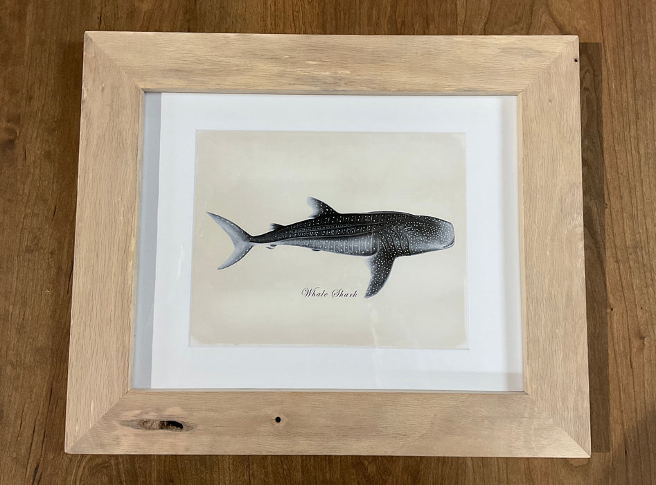 Framed Whale Prints - Red Oak