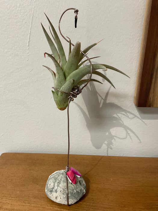 Flamingo air plant holder