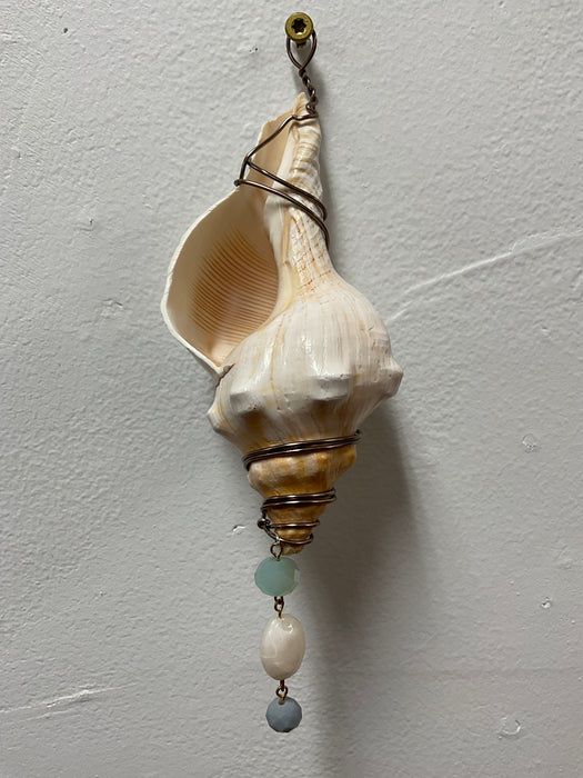 Hanging whelk shell decorated