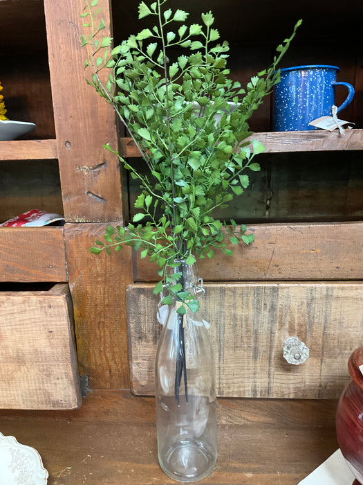 Maidenhair Fern Stems