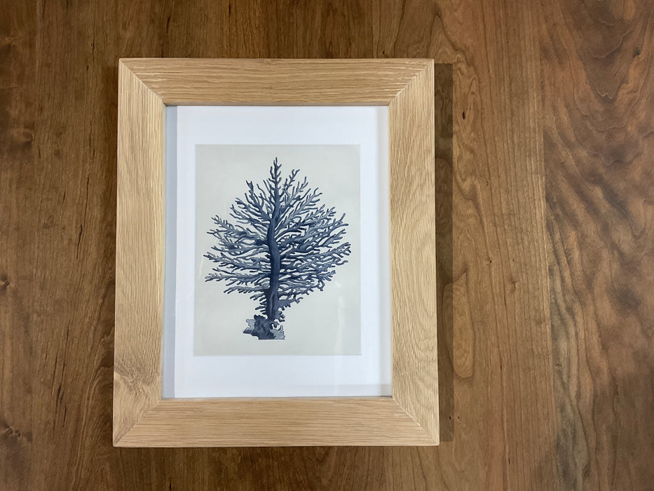 Framed Nautilus Prints - White Oak