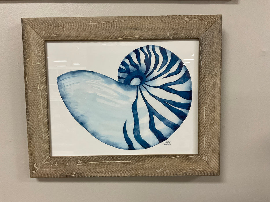 Framed sea life artwork - Nautilus