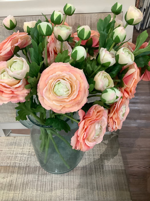 Ranunculus - coral peach