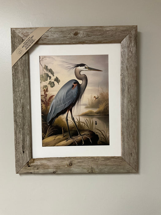 Blue Heron Picture