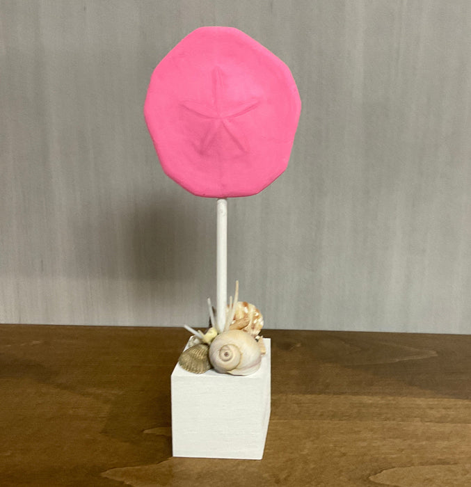 Sand Dollar on Block