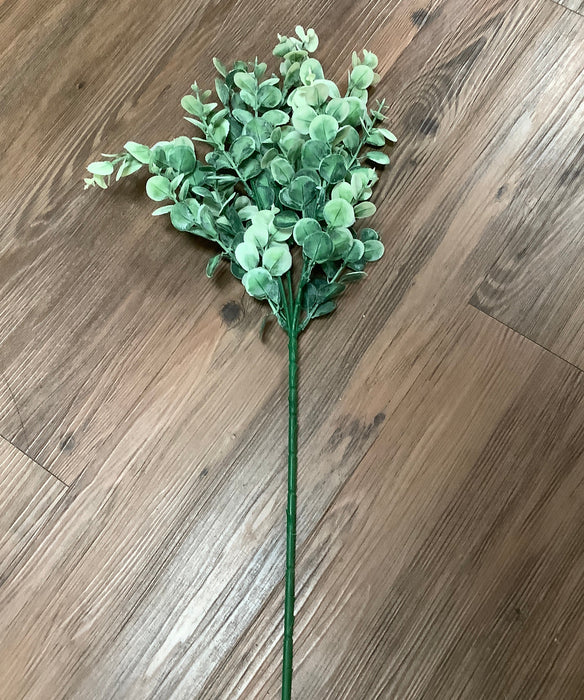 Eucalyptus spray stem