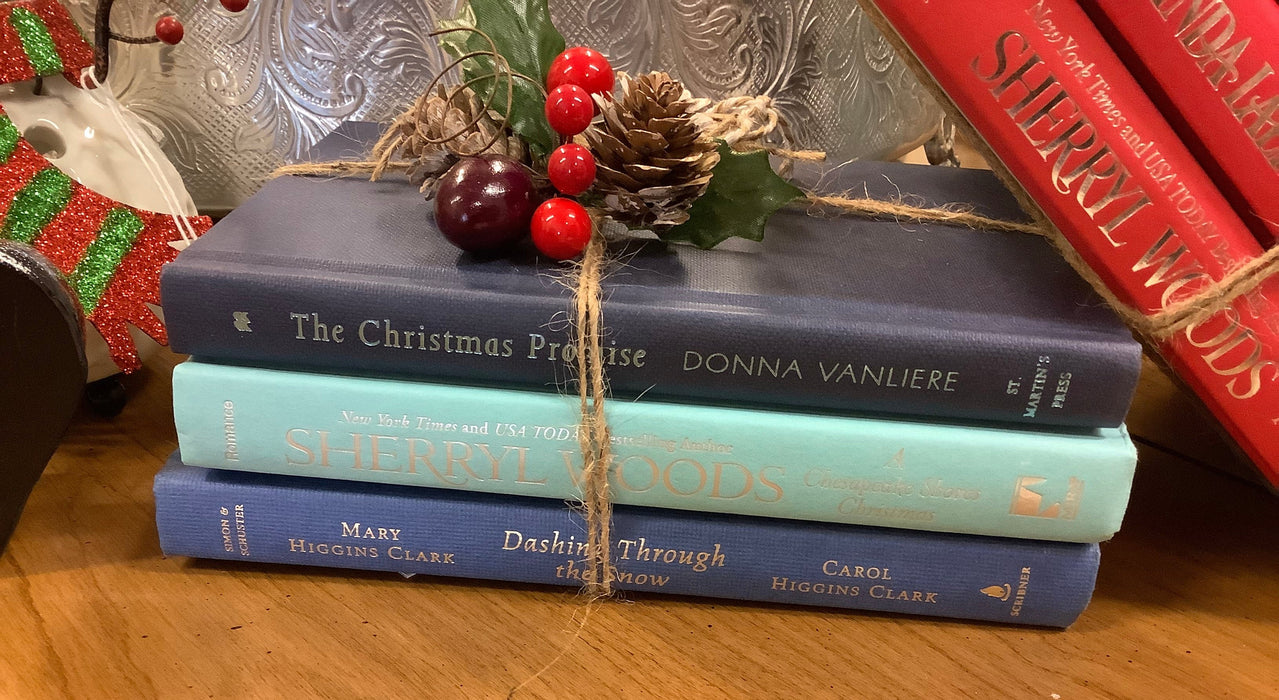 Christmas book bundle