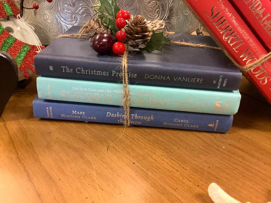 Christmas book bundle