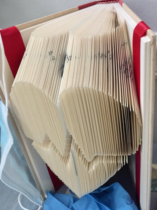 Folded Books
