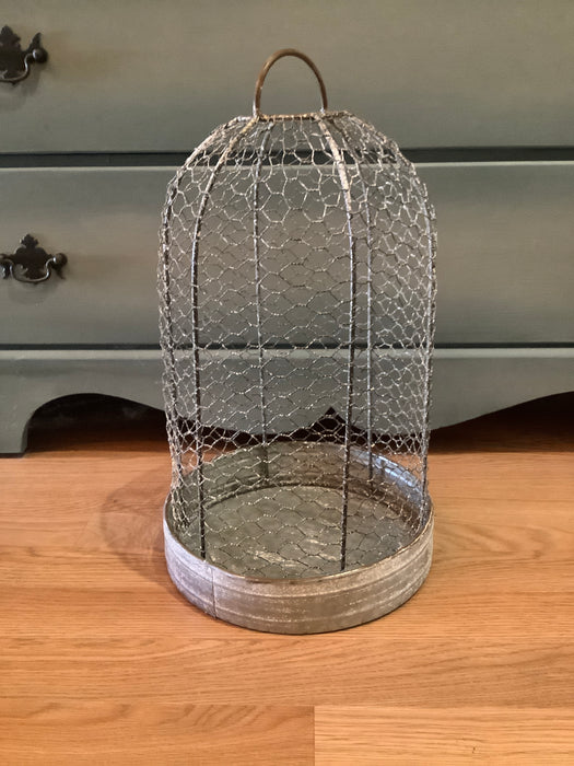 Wire mesh cloche with base