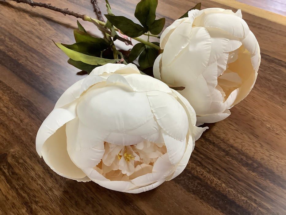 Artificial peony flower - ivory