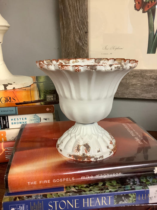 Scalloped cup