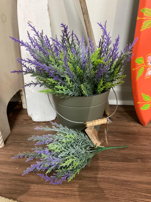 Lavender bush