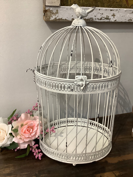 White oval metal birdcage