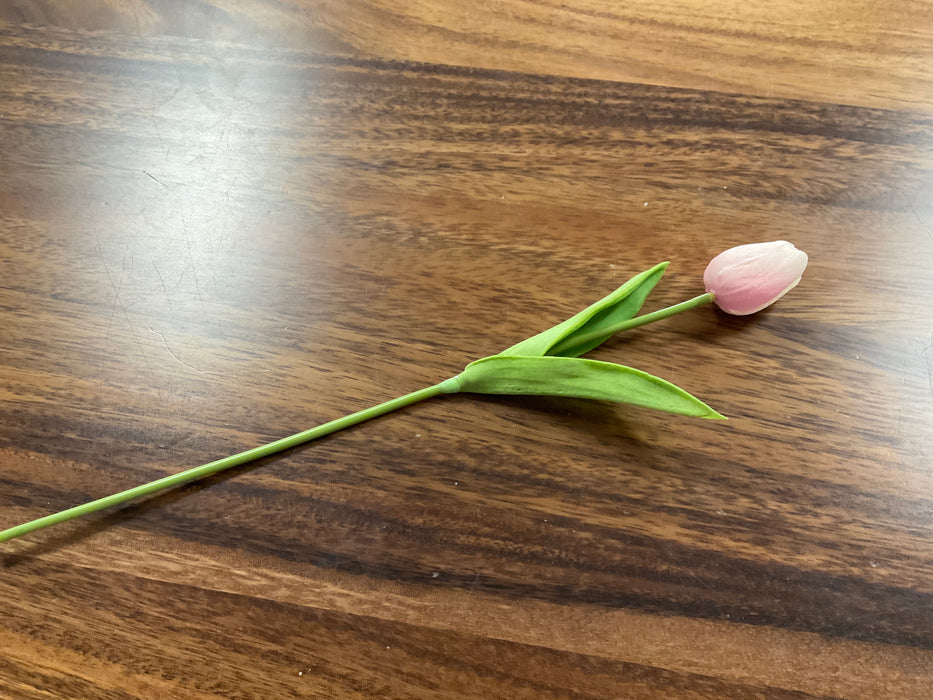Pink tulip stem