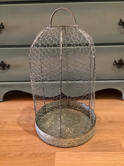 Wire mesh cloche with base