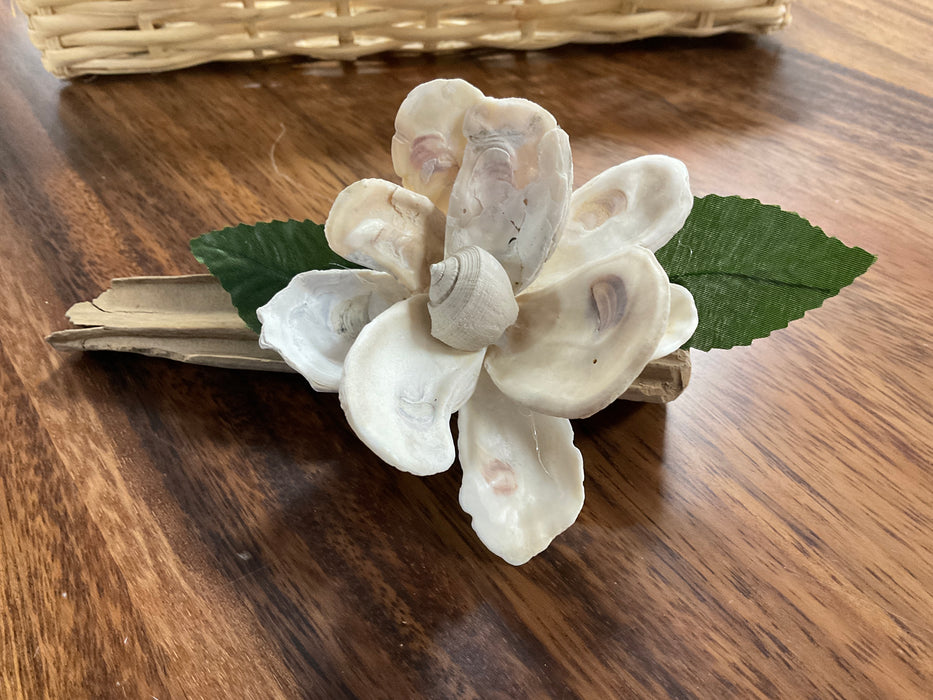 Magnolia shell flower