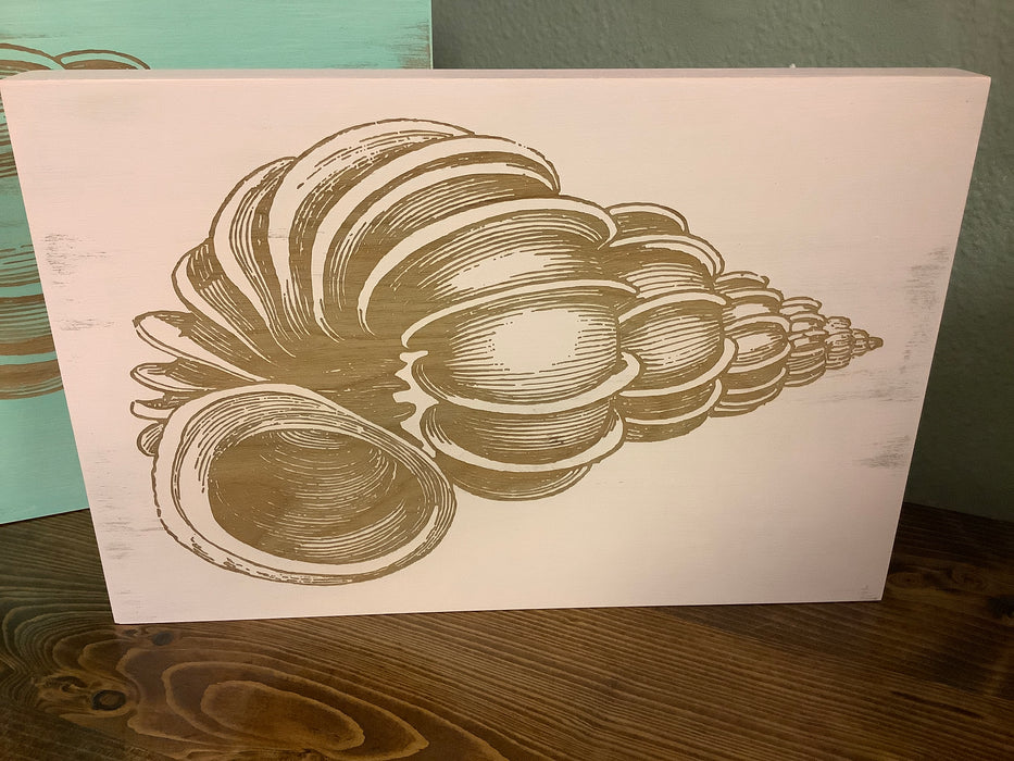 Conch shell engraved picture