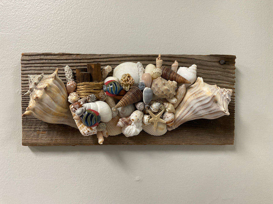 Driftwood shell art