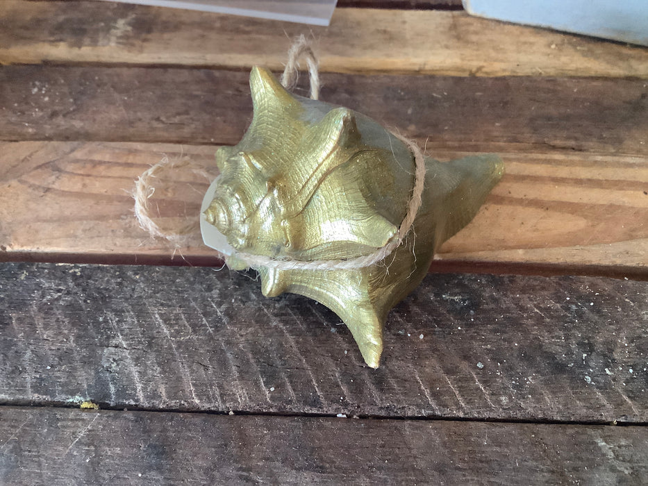 Painted small whelk shell