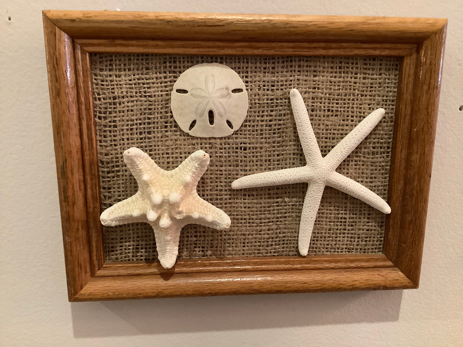 Framed starfish art