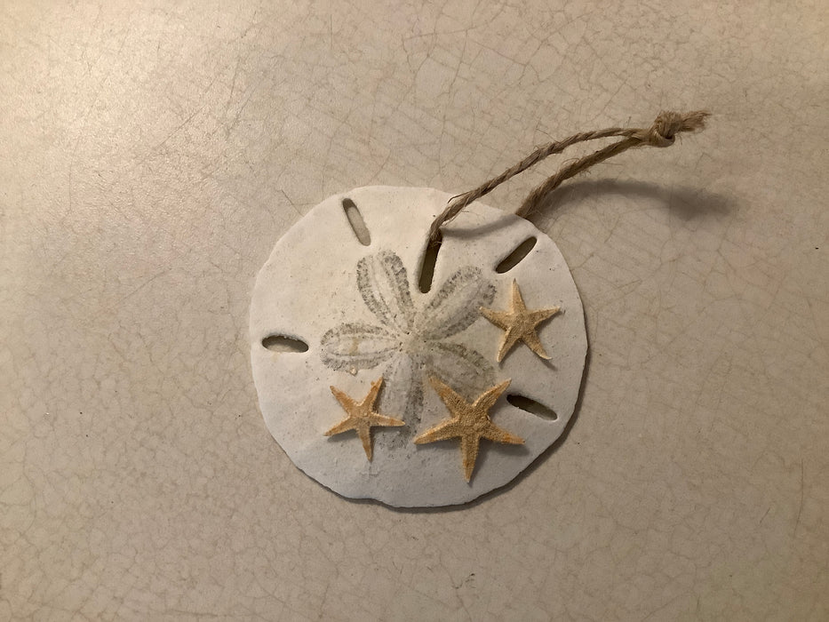 Sand dollar Christmas ornament