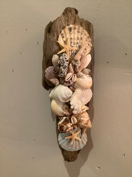 Driftwood coral and shells