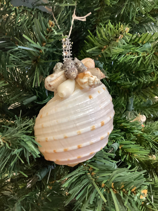 Large shell ornament