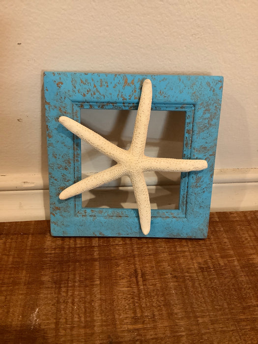 Starfish in frame