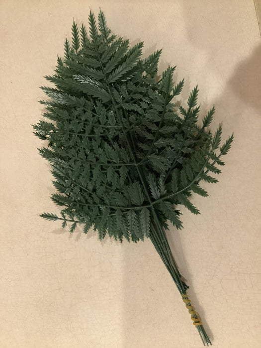 Bundle of ferns