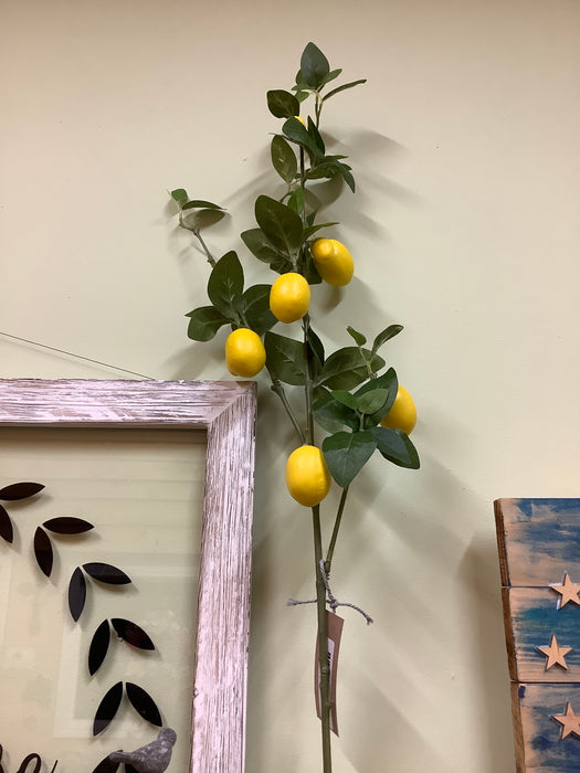Lemon stem 34"