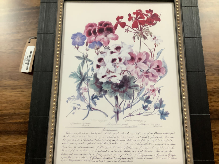 Floral print framed