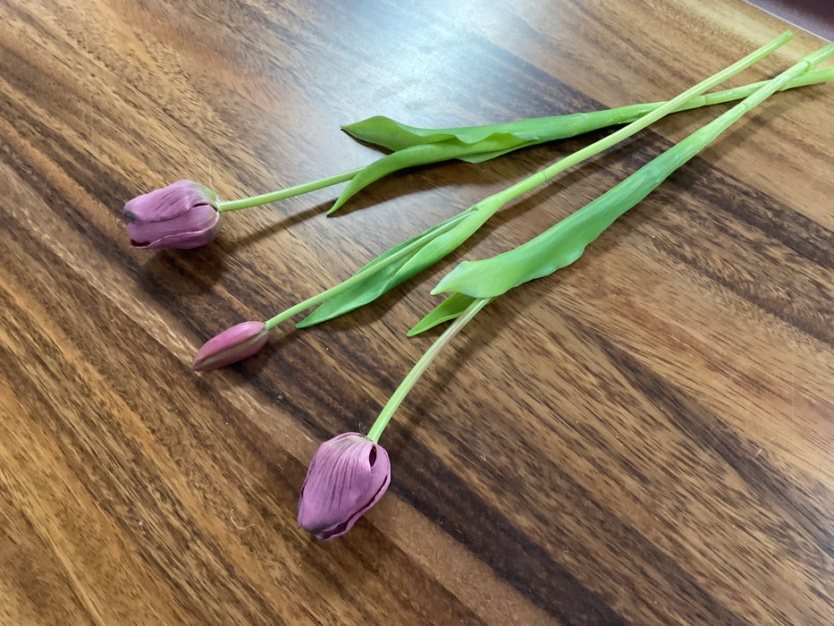 Tulip flower stem, purple