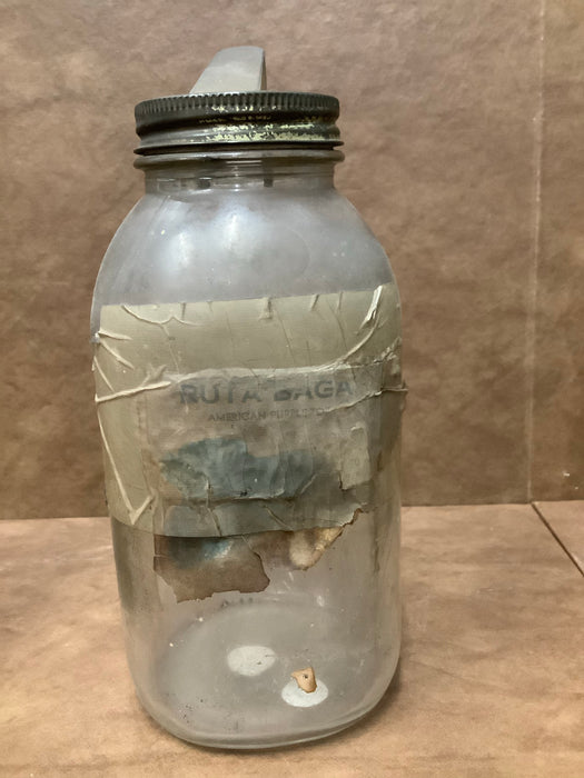 Glass seed jars