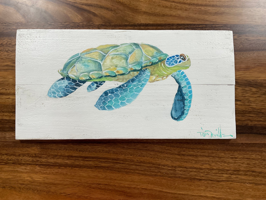 Painted turtle on boards